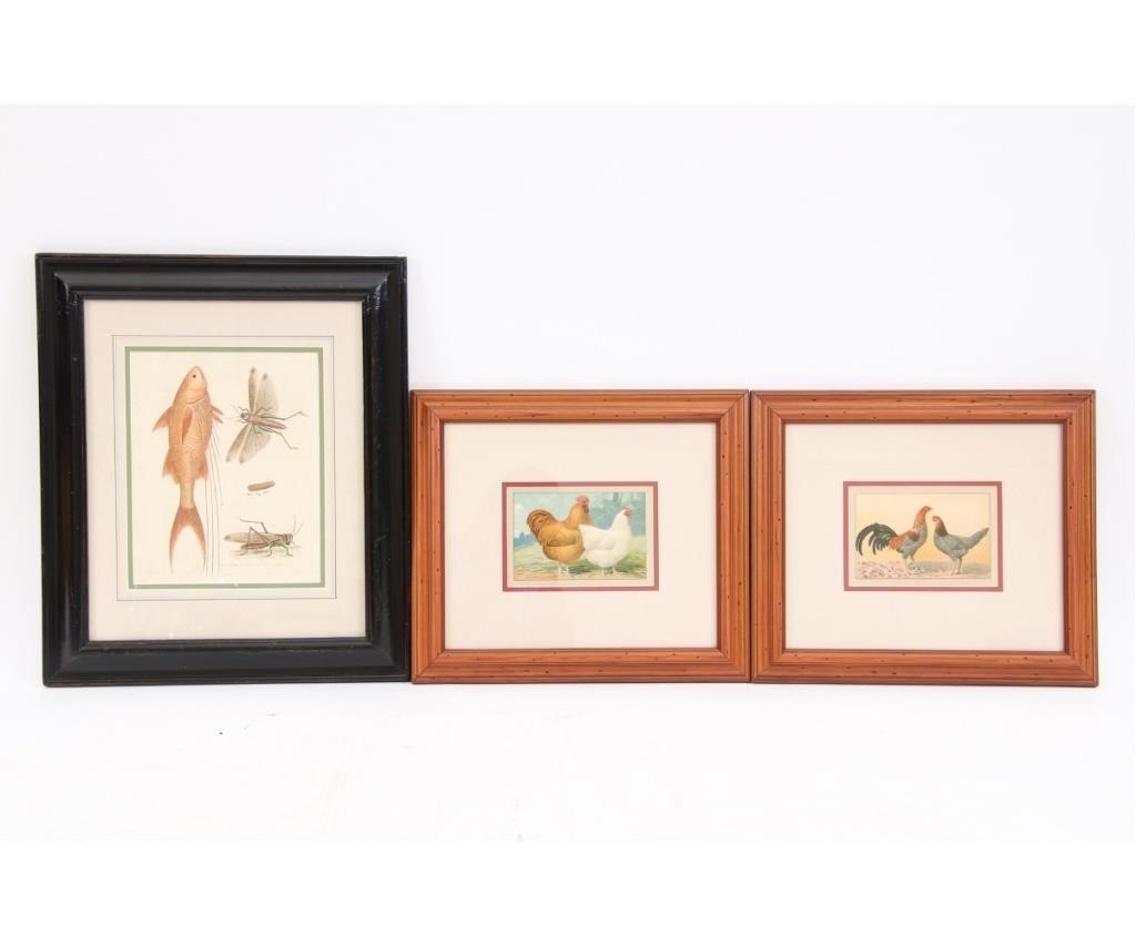 Three hand colored prints including 28a961