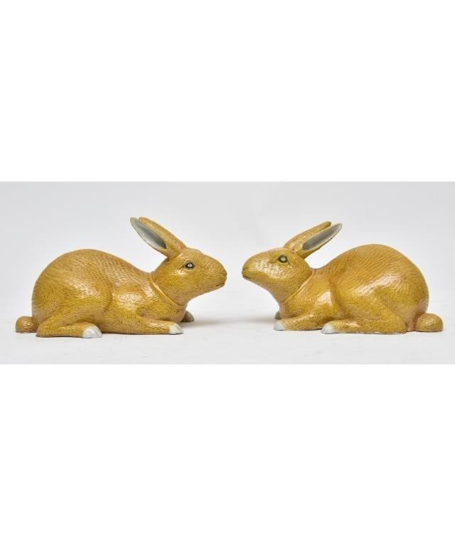 Two yellow blazed Chinese rabbits, probably