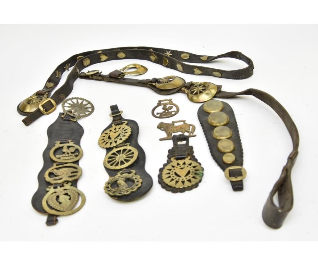 Collection of leather horse brasses,