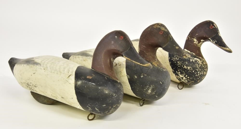 Three  Susquehanna canvas back decoys
Each