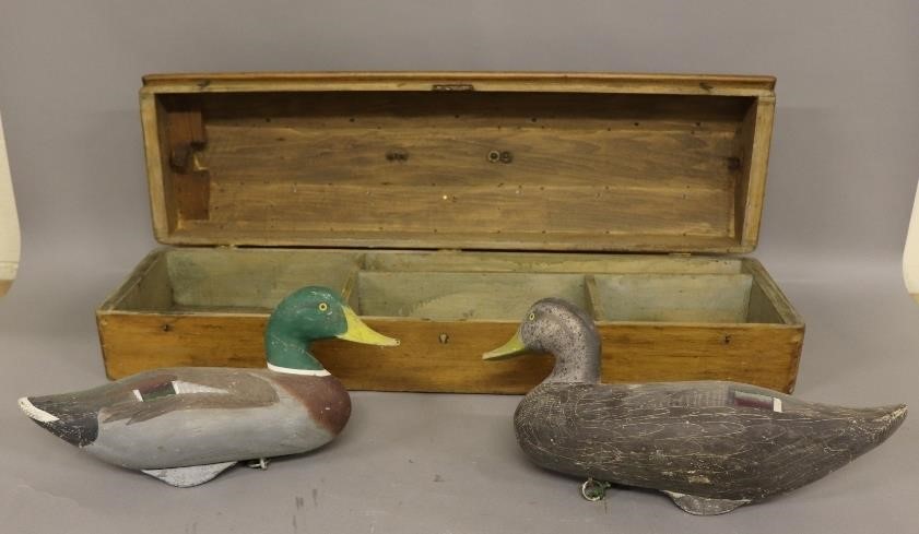 Pair of mallard working decoys,