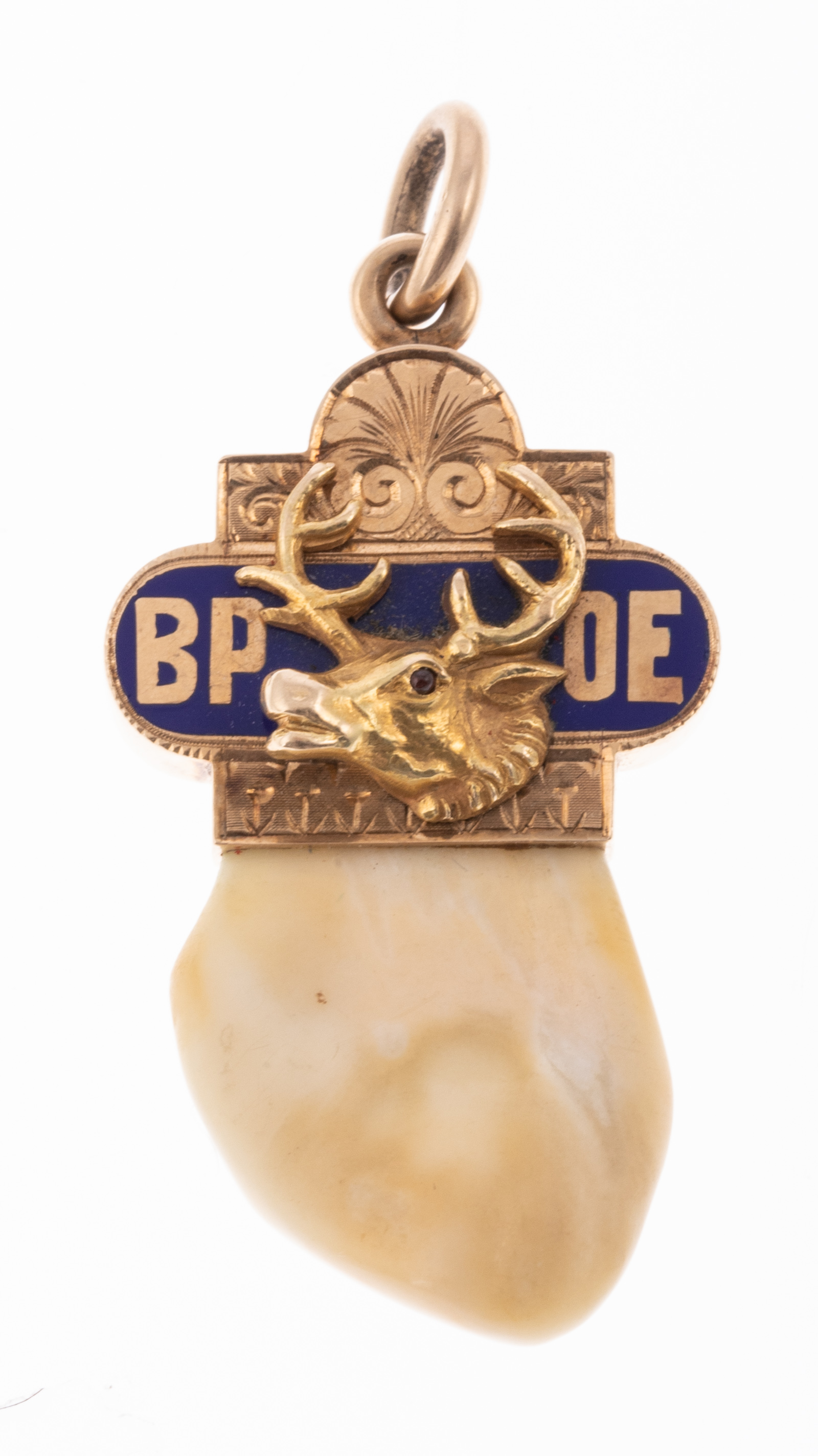 ELKS TOOTH PENDANT B.P.O.E. Ruby eye.