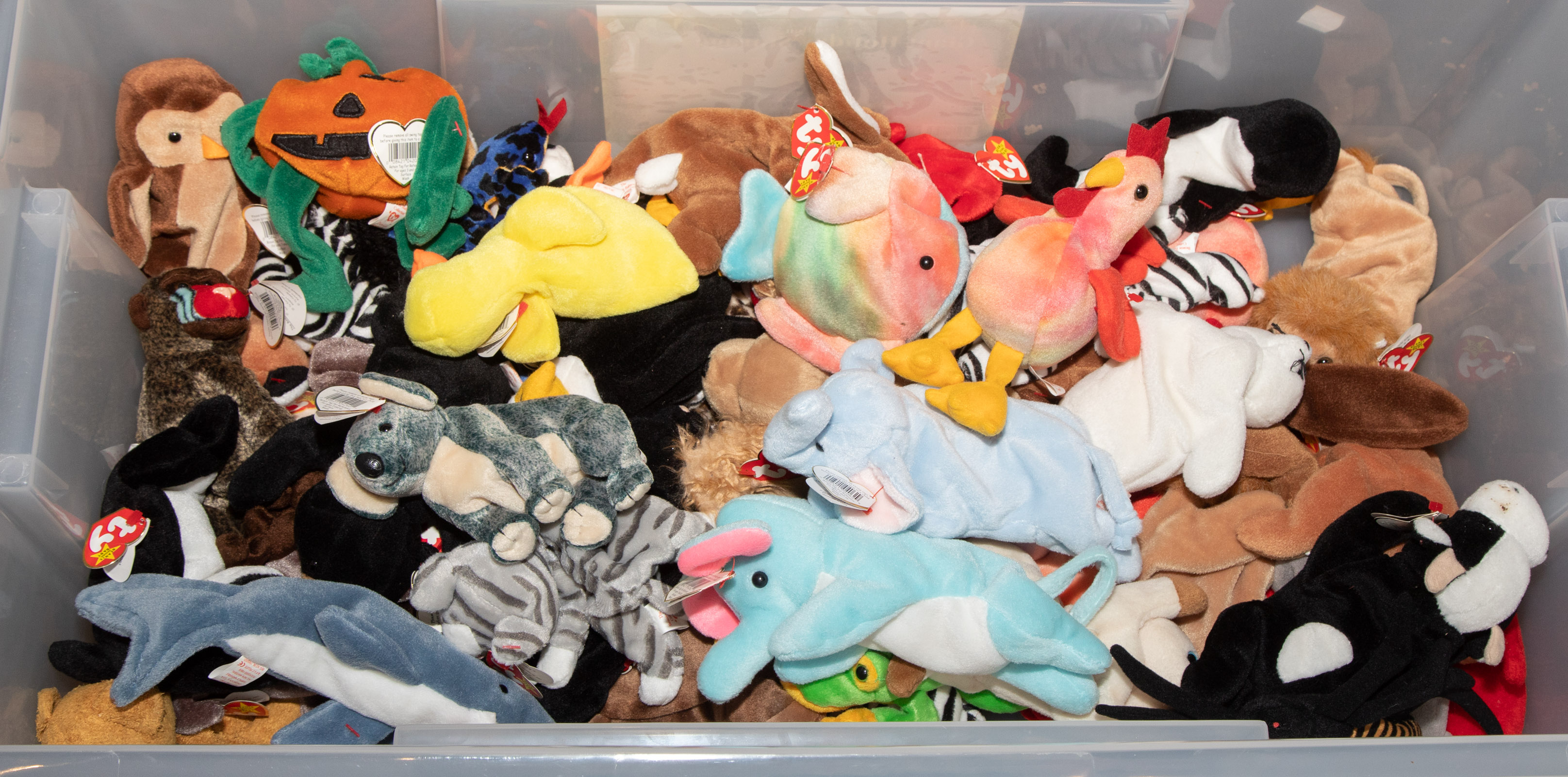 LARGE SELECTION OF TY BEANIE BABIES 289923