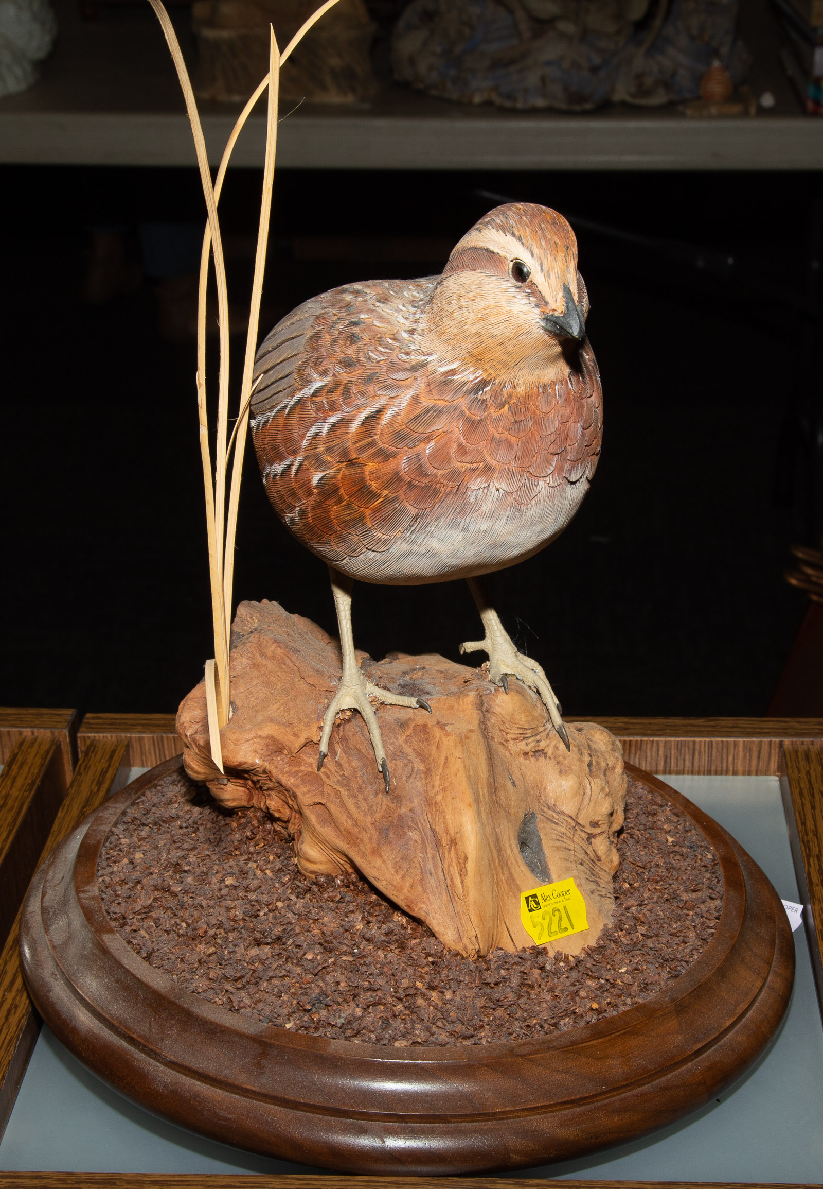 LIFE SIZE CARVED WOOD BOB WHITE QUAIL