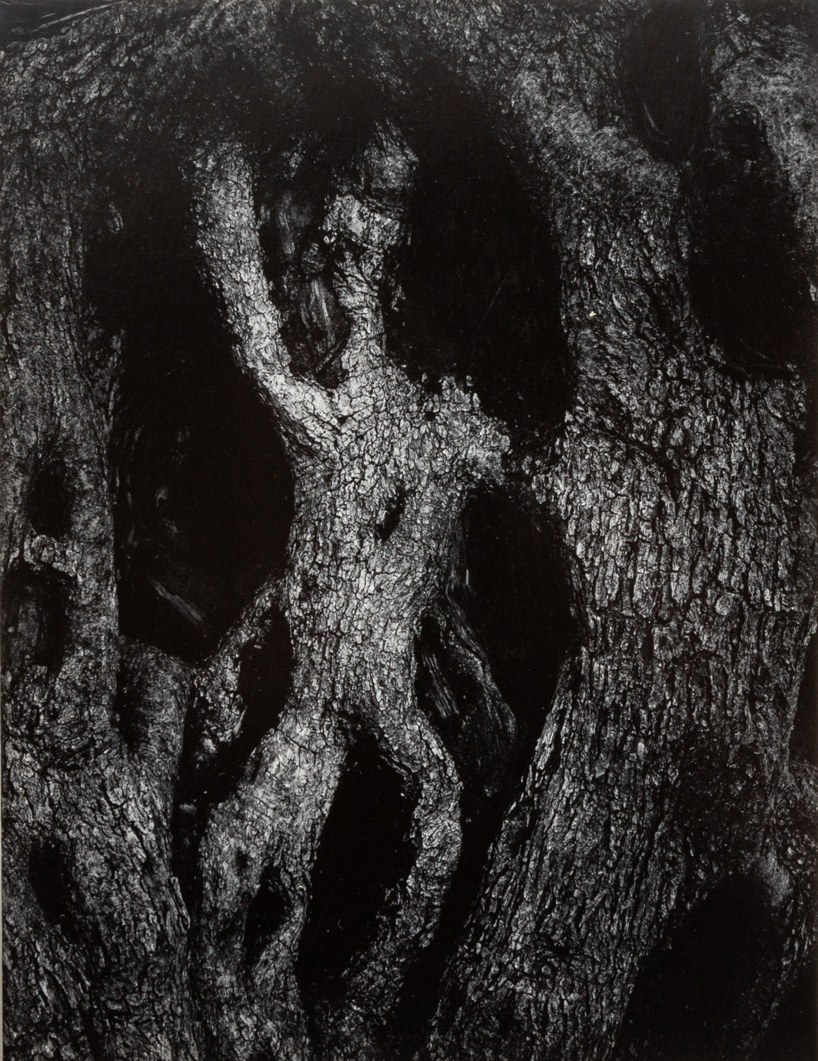 AARON SISKIND AMERICAN 1903 1991  28d2bb