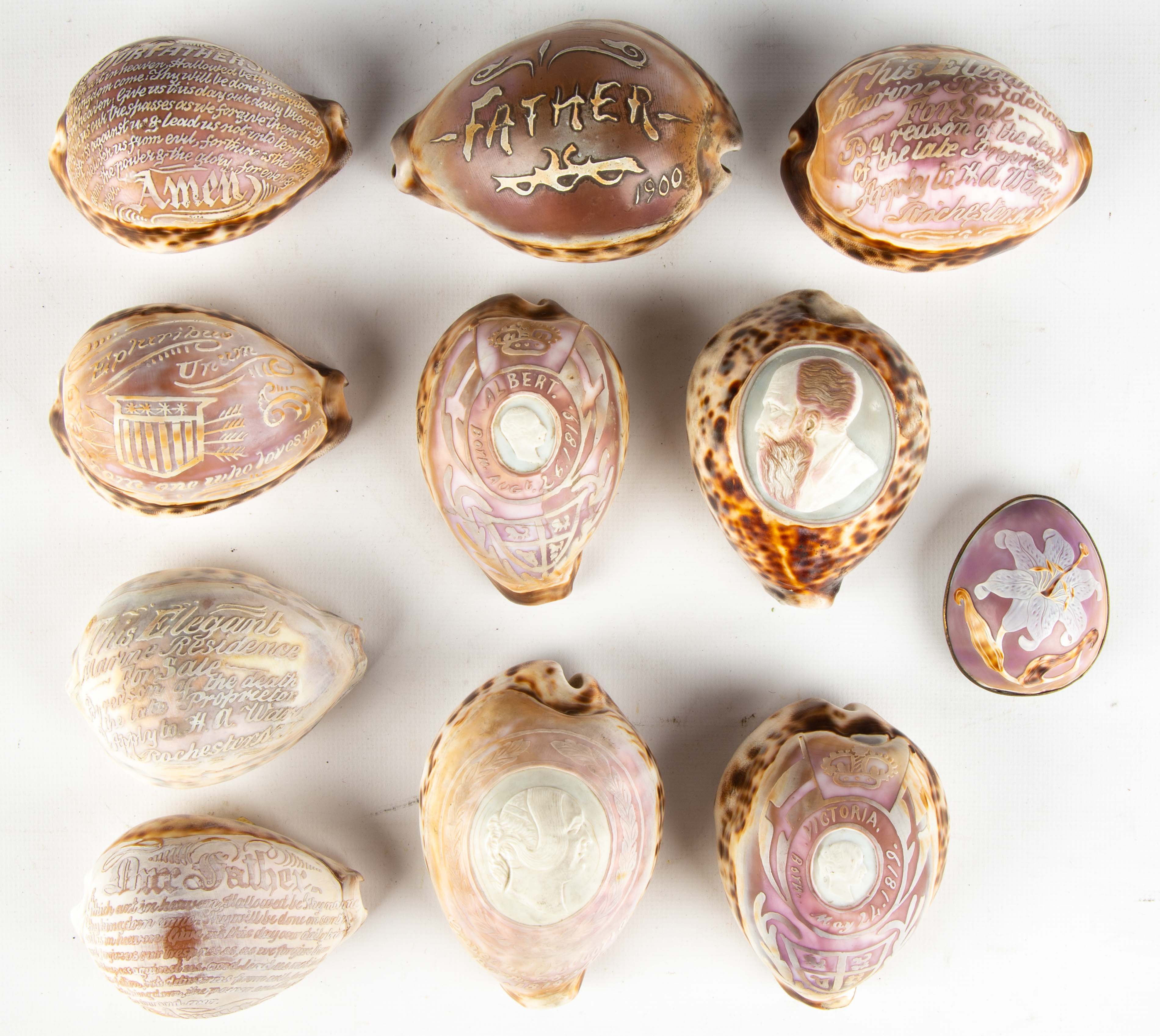 19TH CENTURY CARVED COWRIE SHELLS