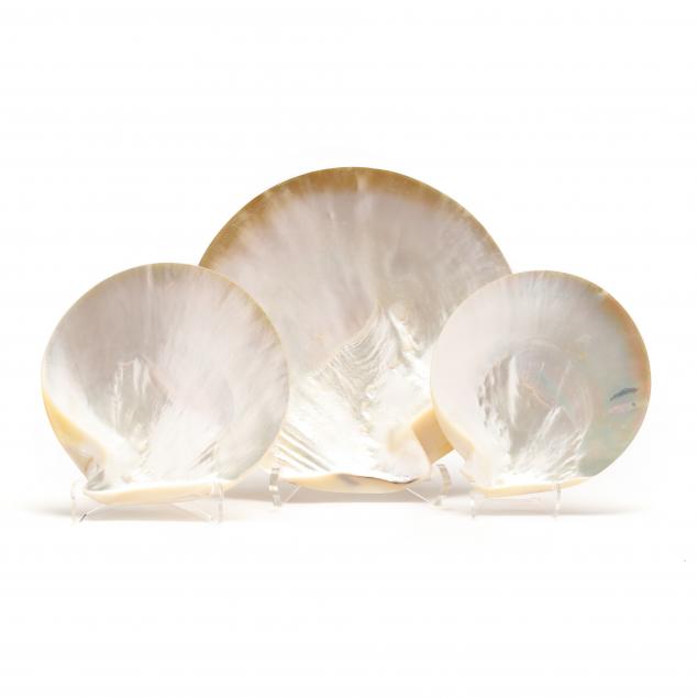 A SET OF (32) MOTHER OF PEARL SHELL