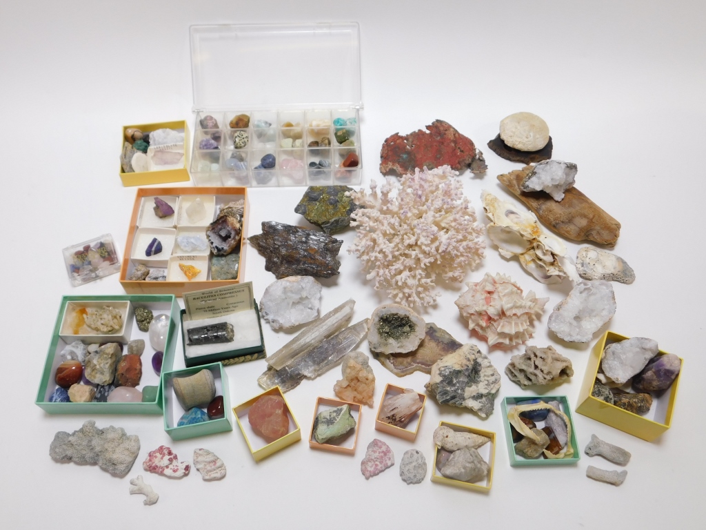 LG COLLECTION OF MINERAL & OCEANIC