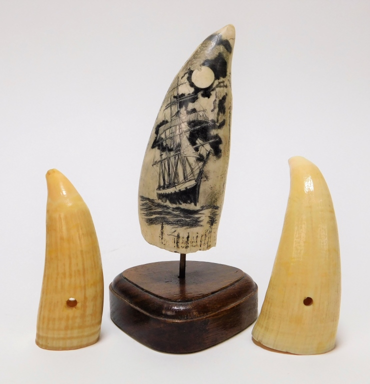 3PC SCRIMSHAW WHALE TEETH United 29a0ad