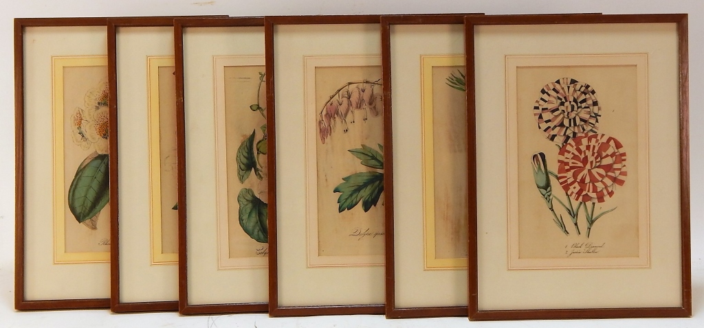 6PC 19C HAND COLORED BOTANICAL 29a7cc