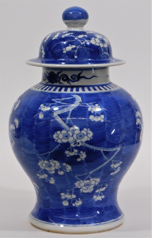 CHINESE BLUE & WHITE PRUNIS DECORATED