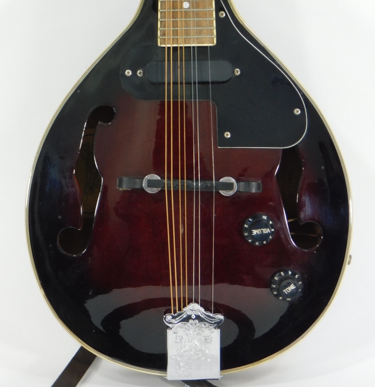 BESTLER M5 8 STRING ELECTRIC MANDOLIN