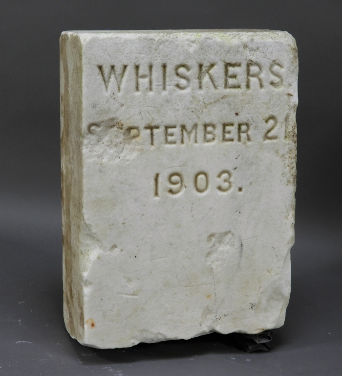 1903 WHITE MARBLE WHISKERS CAT