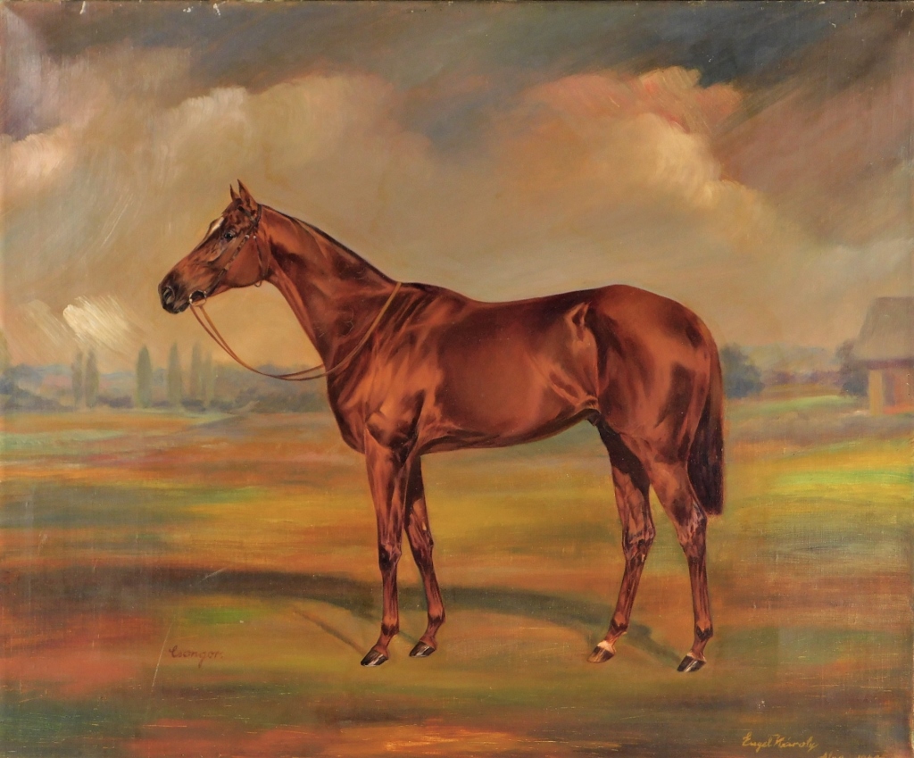 KAROLY ENGEL EQUESTRIAN DERBY HORSE
