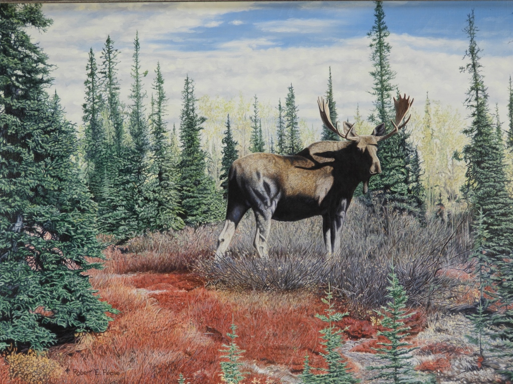 ROBERT E. PEASE NATURALIST NH MOOSE