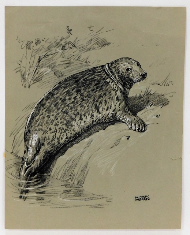 RAYMOND SHEPPARD NATURALIST SEAL