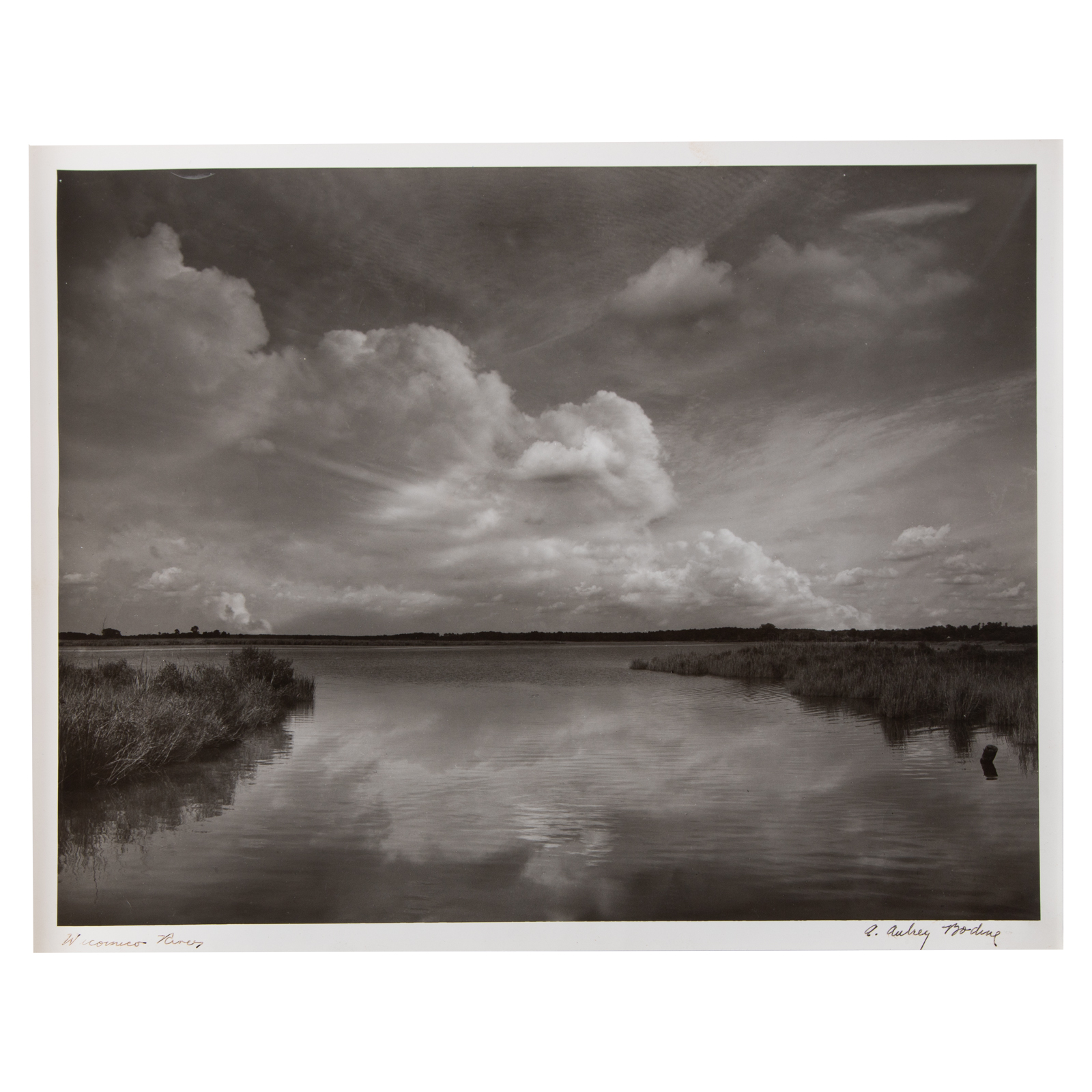 A. AUBREY BODINE. "WICOMICO RIVER,"