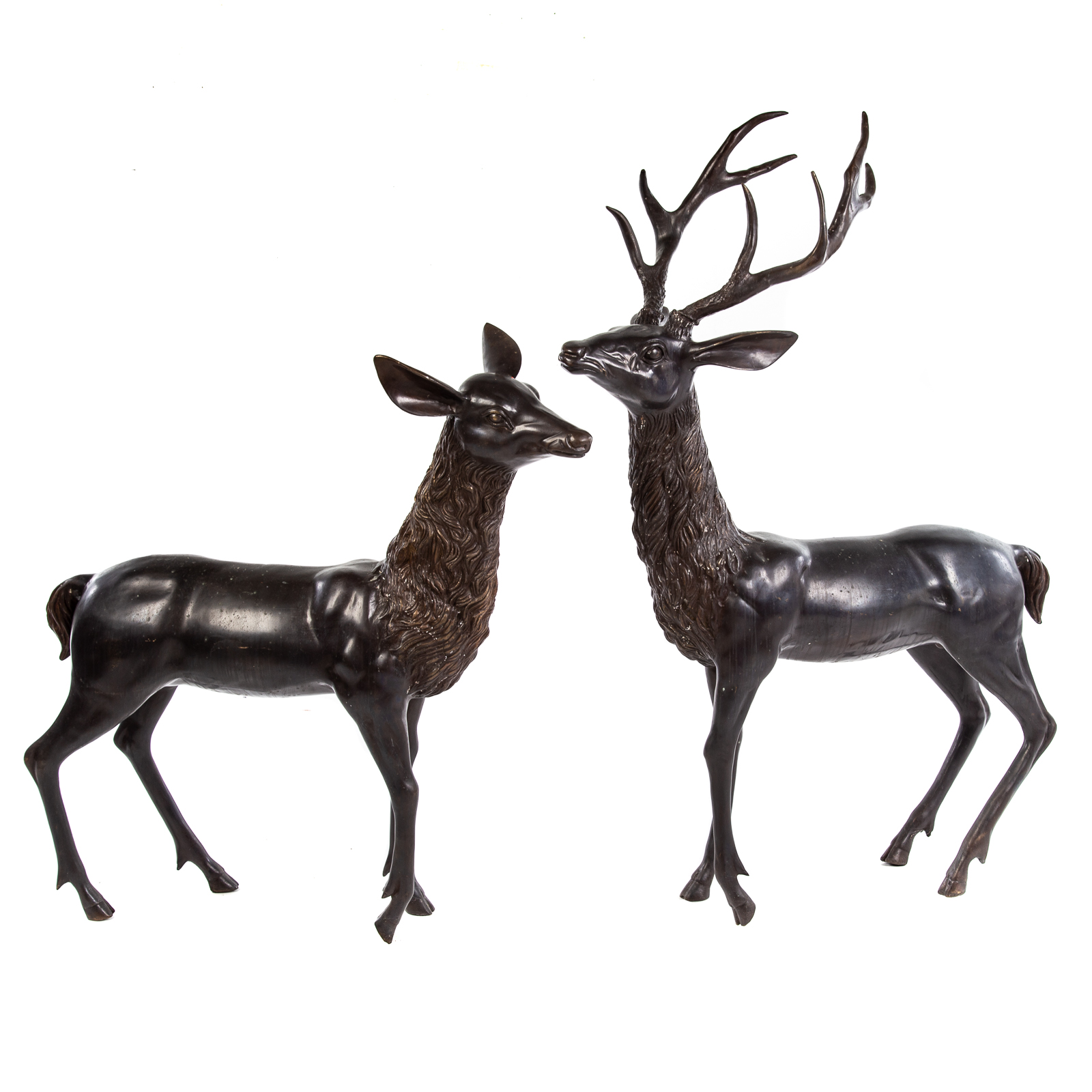 NEAR LIFE SIZE BUCK & DOE BRONZES