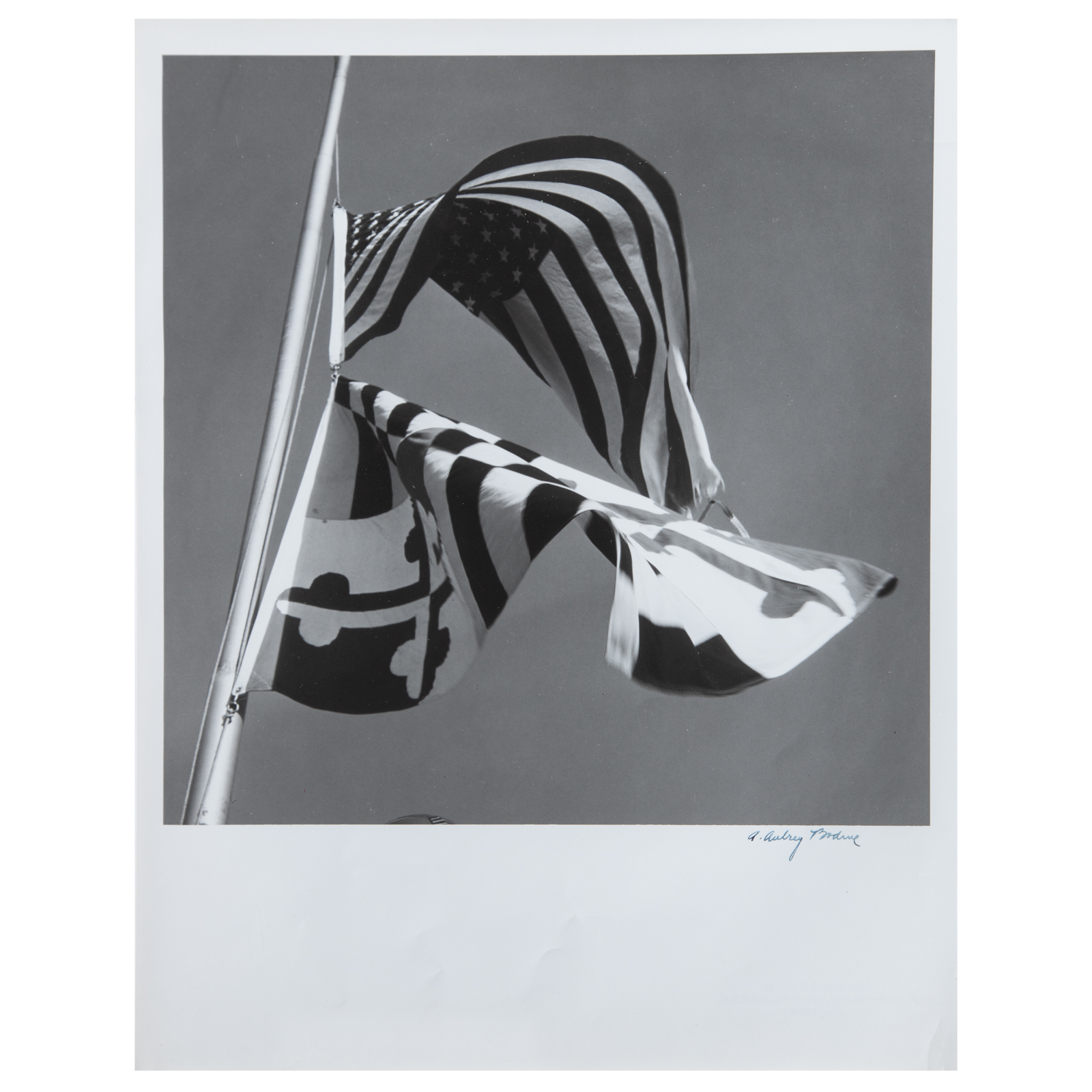 A AUBREY BODINE FLAGS PHOTOGRAPH 29ea0e