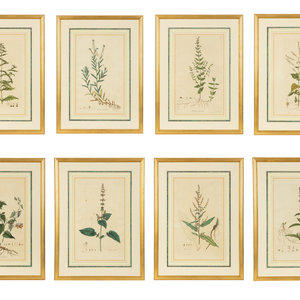 A Set of Eight Gilt Framed Hand 2a0ea7