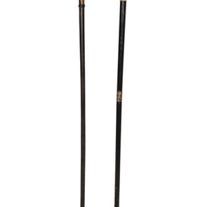 Two Ebonized Walking Sticks with 2a0ef2