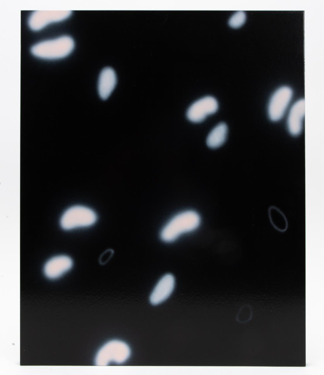 MICHAEL GIBSON WHITE DOTS ON BLACK 29f9c9