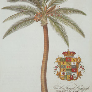 A Princess of Wales Royal Crest Palm