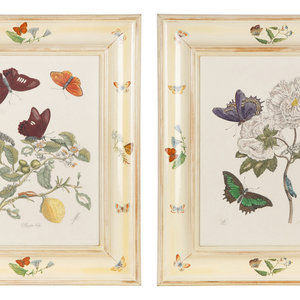 Three Butterfly and Botanical Prints 20TH 2a6aef