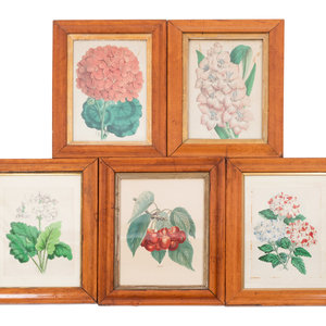 Four Hand-Colored Botanical Lithographs
