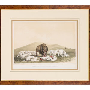 George Catlin American 1796 1872 Buffalo 2a89ab