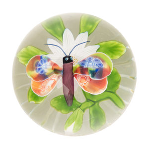 A Baccarat Butterfly Over White 2a6df2