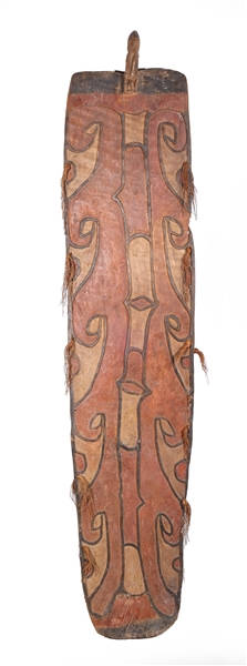 Large tribal African shield with