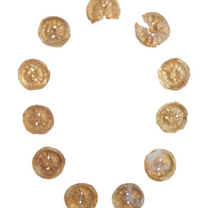 Eleven Gilt Metal or Gold Buttons 2aacb8