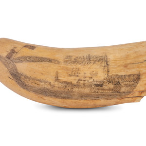 An Unusually Large Scrimshaw Tooth