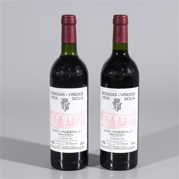 Two bottles of Bodegas y Vinedos