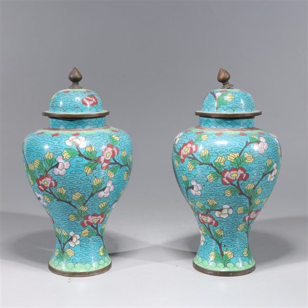 Two Chinese turquoise ground enameled