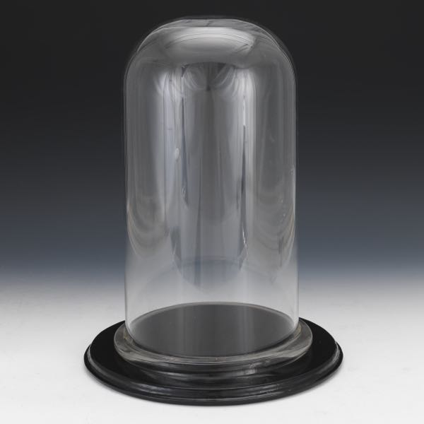 AMERICAN VICTORIAN GLASS DOME WITH 2af297