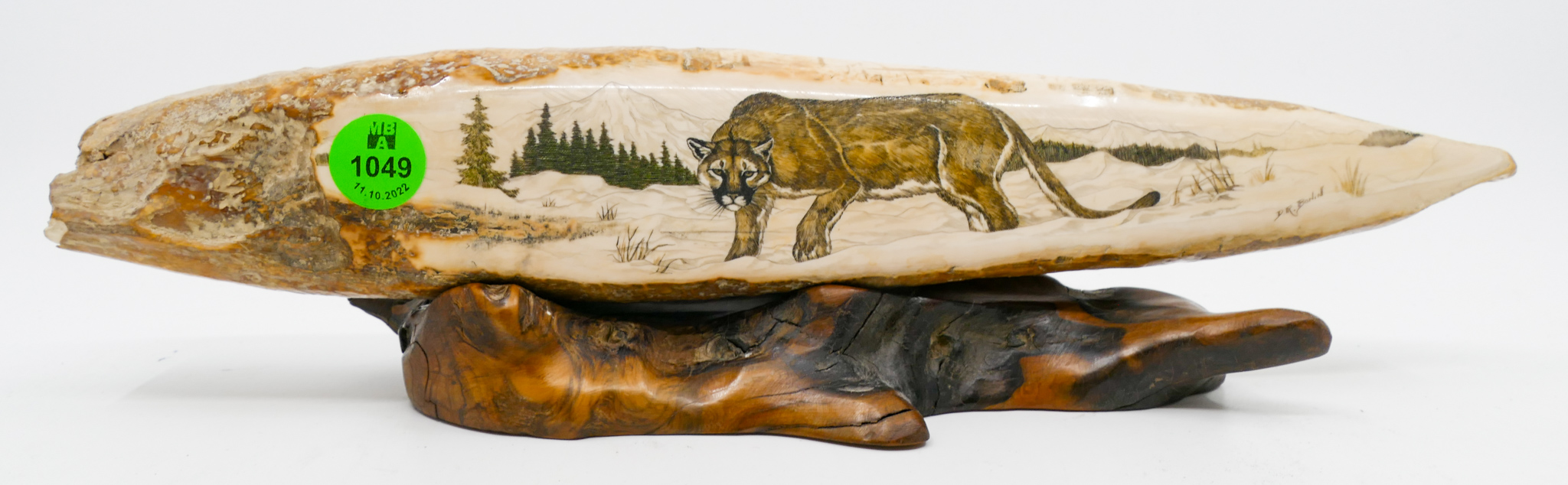 Diane Bonin Cougar Landscape Scrimshawed