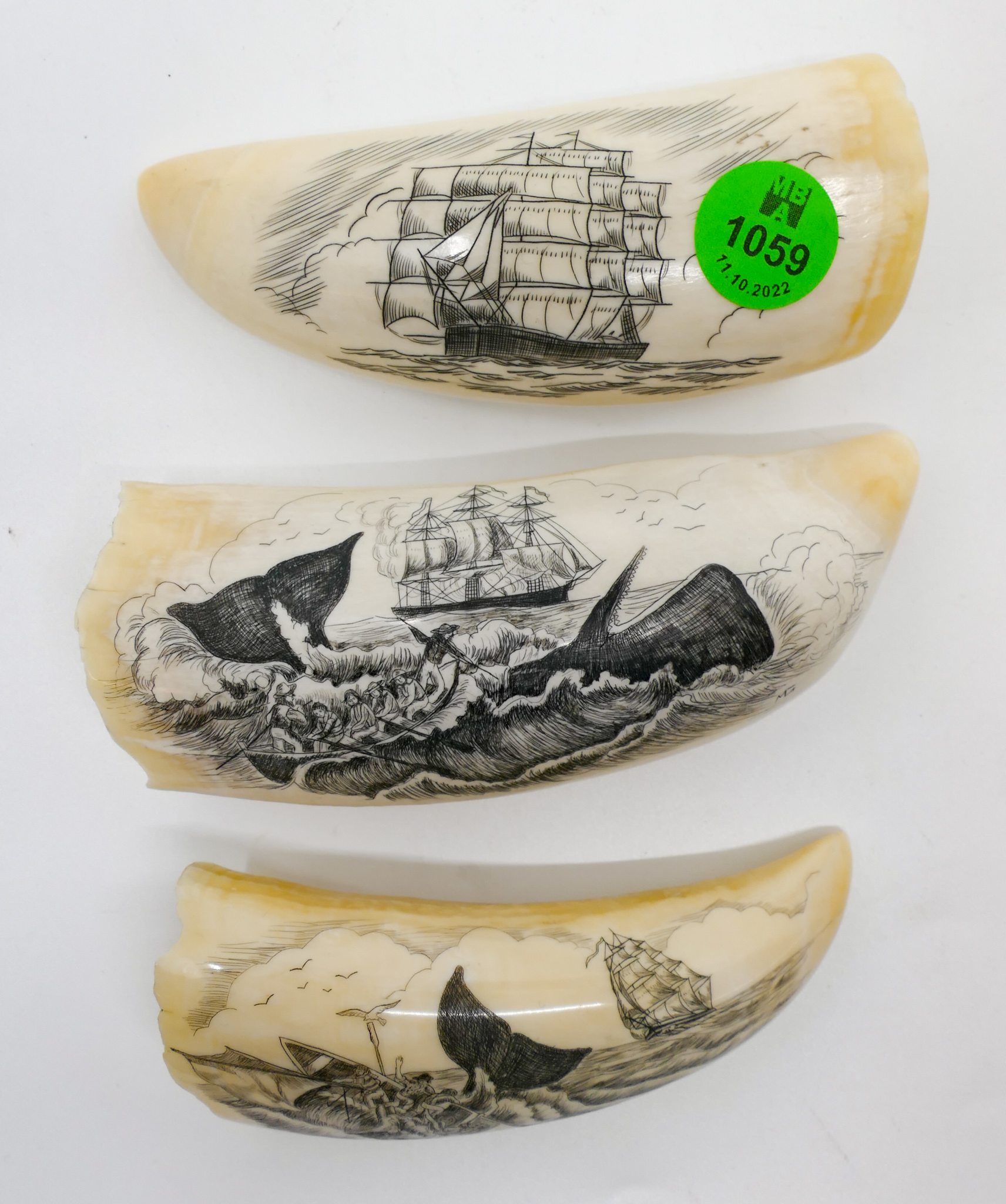 3pc Scrimshawed Maritime Tooth