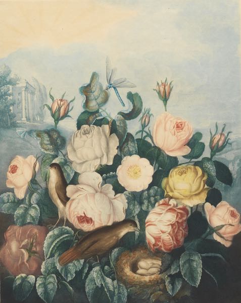 RICHARD EARLOM (BRITISH, 1743 - 1822)