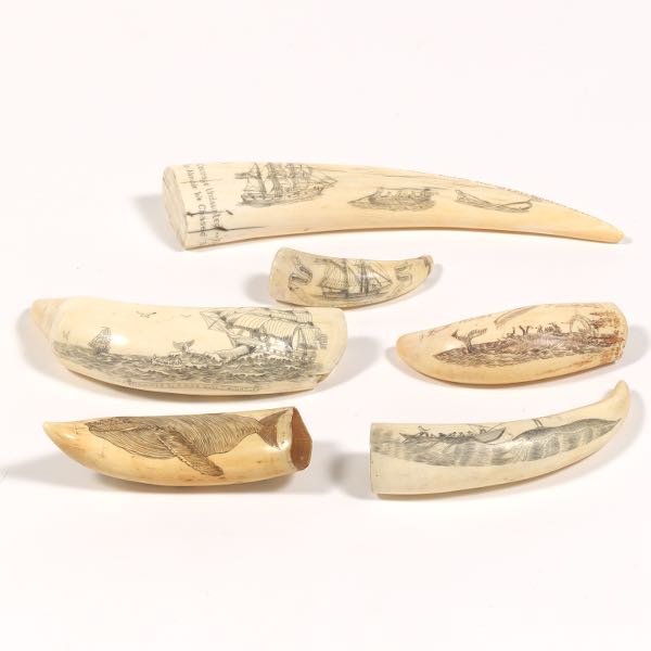 GROUP OF CARVED SCRIMSHAW Six 2b03bb