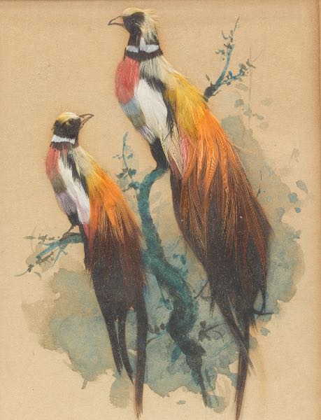 FIVE VICTORIAN FEATHERS AND WATERCOLOR
