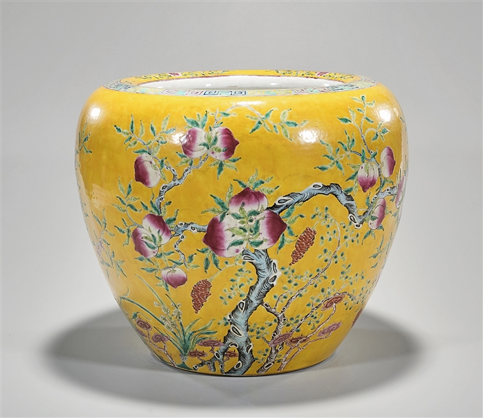 Chinese enameled porcelain water