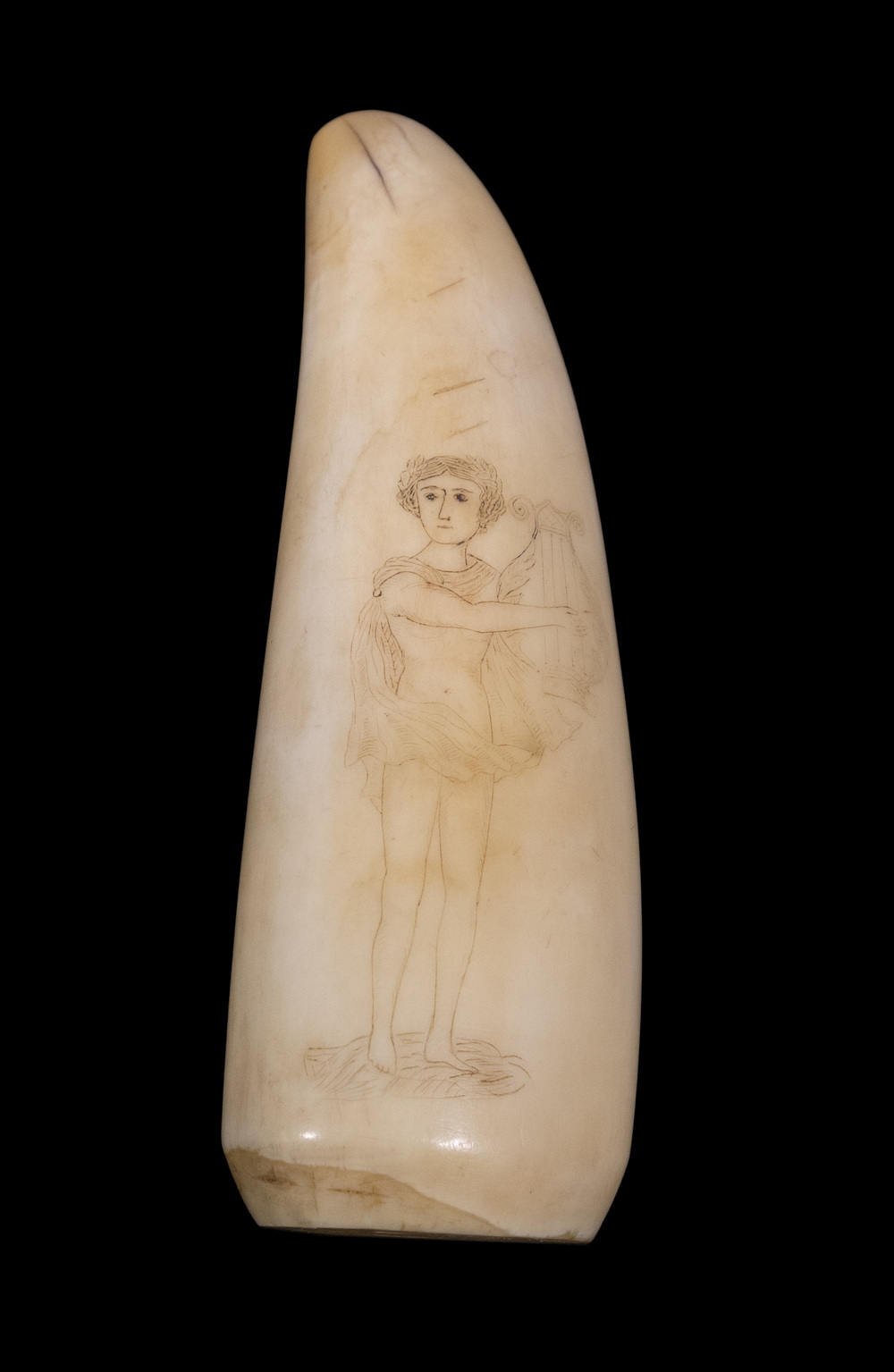 19TH C SCRIMSHAW WHALE S TOOTH 2b1aae
