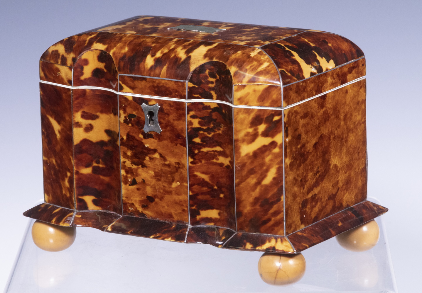 TORTOISESHELL TEA CADDY English 2b1b59