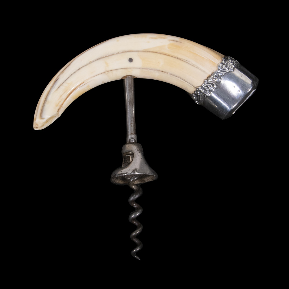 BOAR'S TUSK & SILVER CORKSCREW