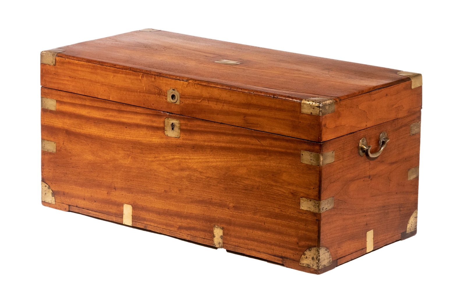 CAMPHORWOOD TRUNK 19th c. Brass