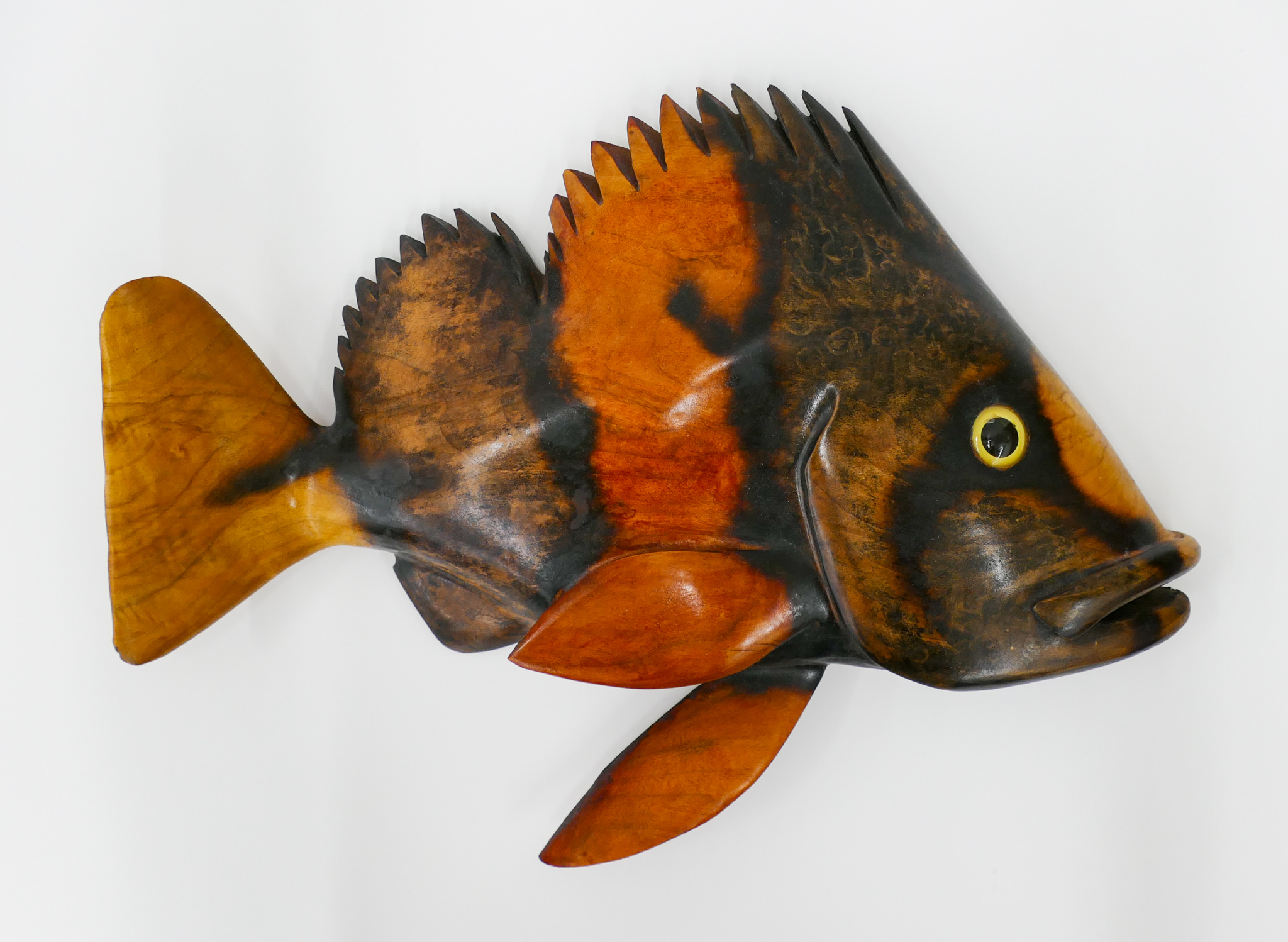 Philip J. Skochilich Rainbow Rockfish