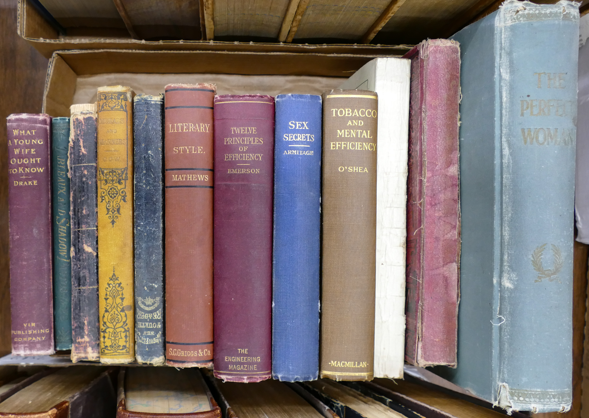 Box 12pc Antique Home Books