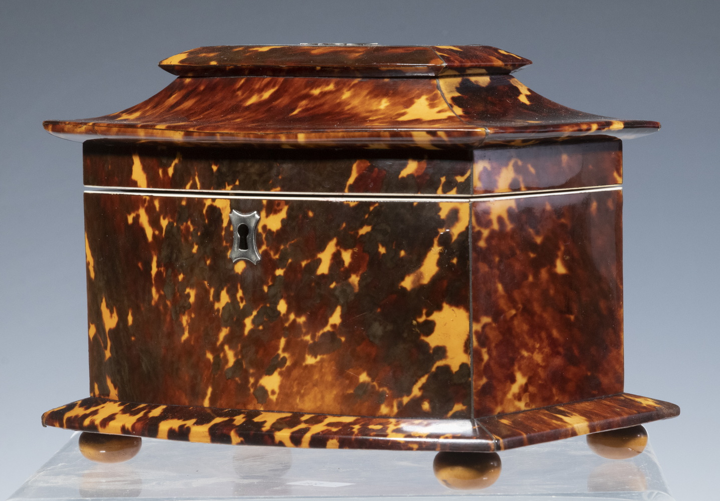 TORTOISESHELL TEA CADDY 19th c  2b1582